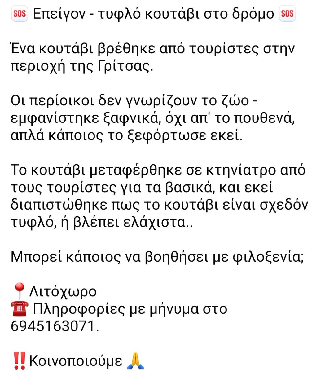 🆘️🆘️🆘️🆘️
Λιτόχωρο,περιοχή Γριτσα
Τυφλό κουτάβι στν δρόμο
Βρέθηκε απο τουρίστες,μεταφέρθηκε σε κτηνίατρο κ διαπιστώθηκε πως είναι σχεδόν τυφλό
Δν μπορεί να μείνει στν δρόμο,επείγει άμεσα φιλοξενία ή υιοθεσία
Αν κάποιος μπορεί να βοηθήσει να επικοινωνήσει με το τηλ
Rt🙏🙏🙏