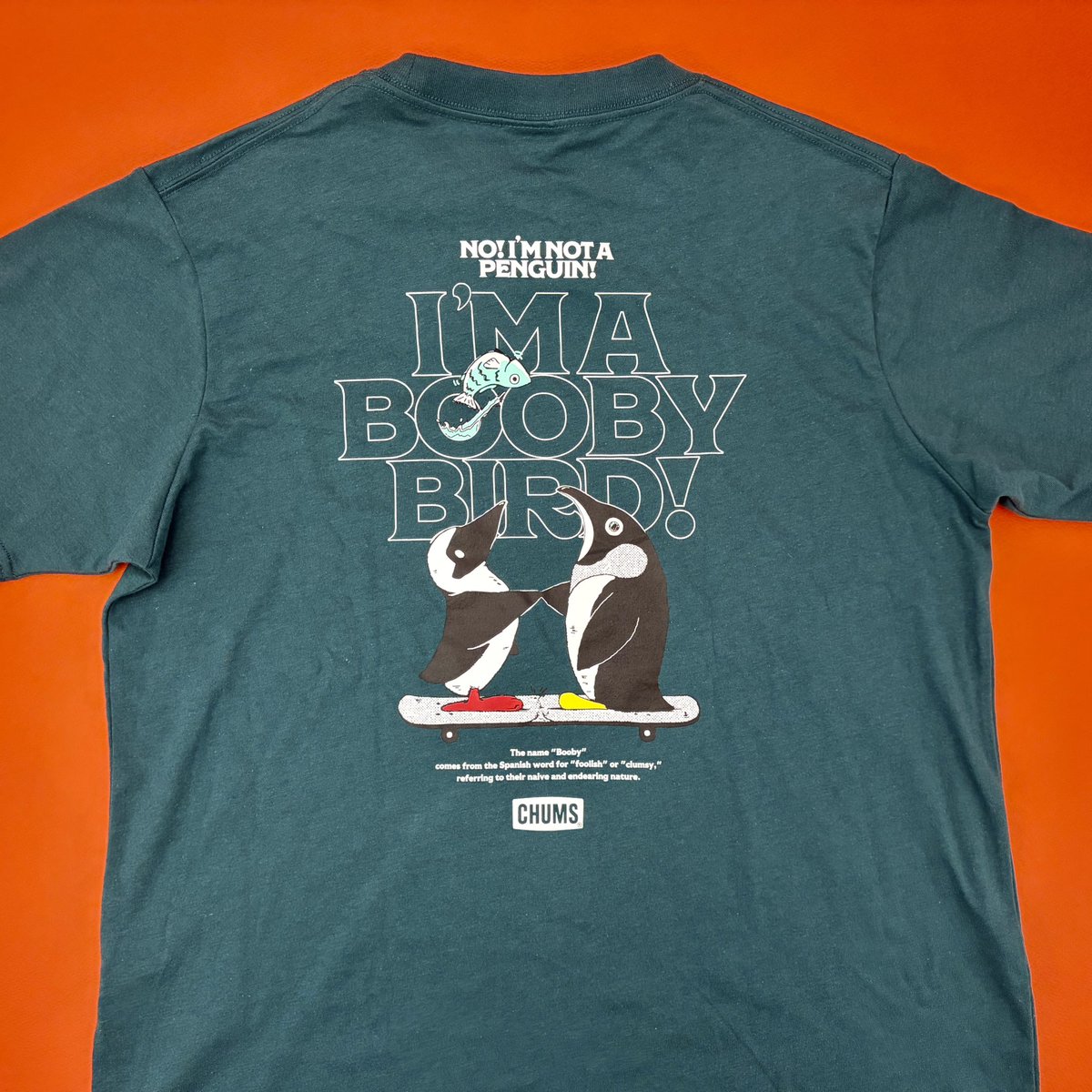 フーミン_Fumiaki Tateoka tweet media