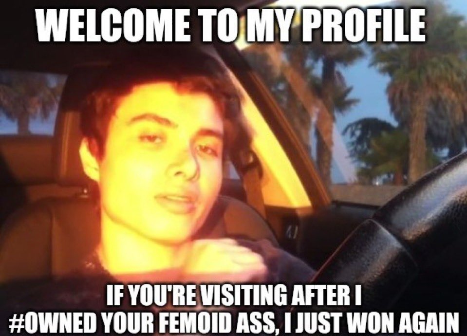 feminist sexhaver tweet media