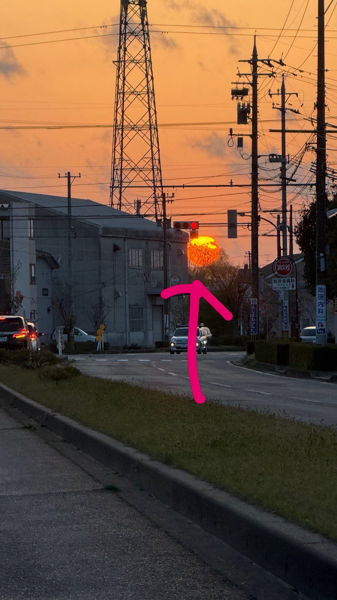 ひなこ tweet media