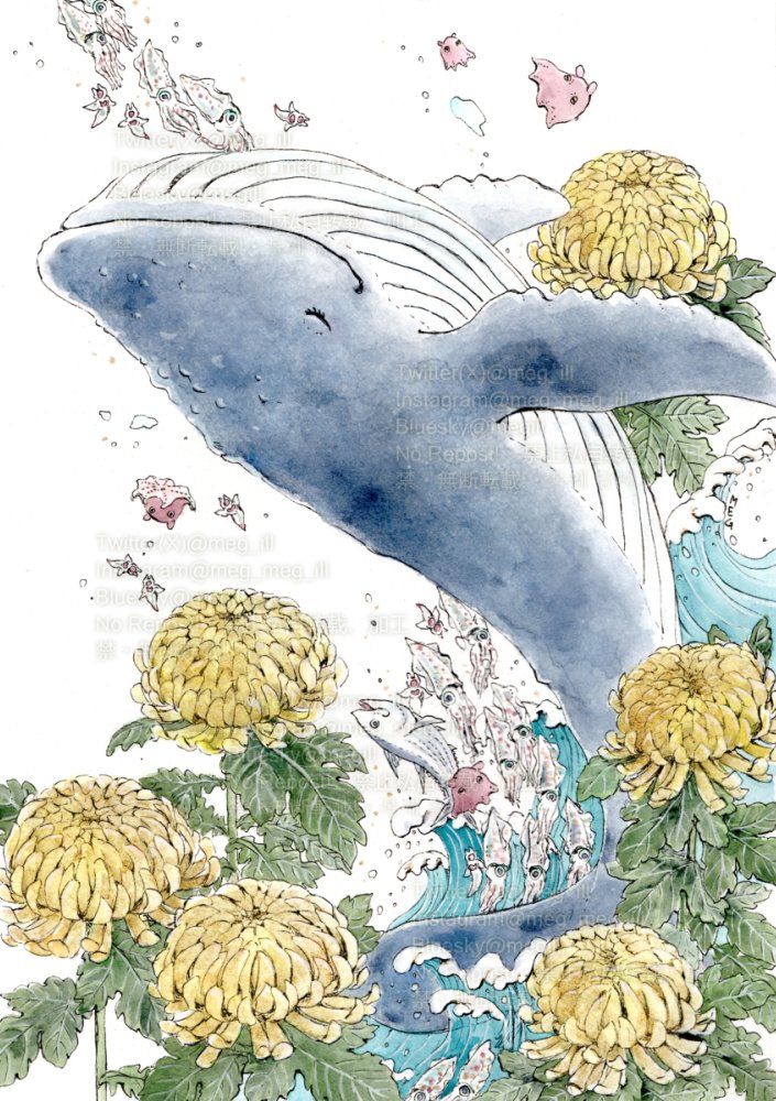 MEG🦑🐙🌸 tweet media