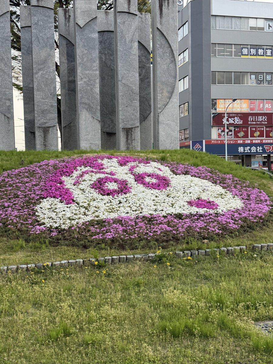 すーも🟢☺️💚 tweet media