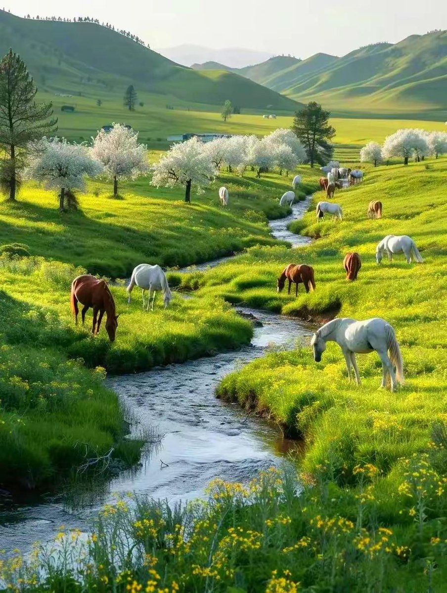 bireshar9's tweet image. Community Clean-Up Day!  Join us this Sat, 9 AM at Maple Park to spruce up our neighborhood! Bring gloves + a reusable bag—snacks u0026 smiles provided. Let’s make our home shine!   #NeighborhoodLove #KeepItGreen