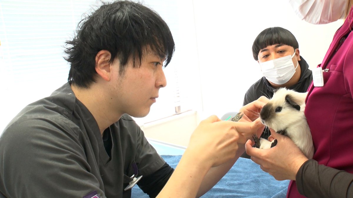 情報7daysニュースキャスター tweet media