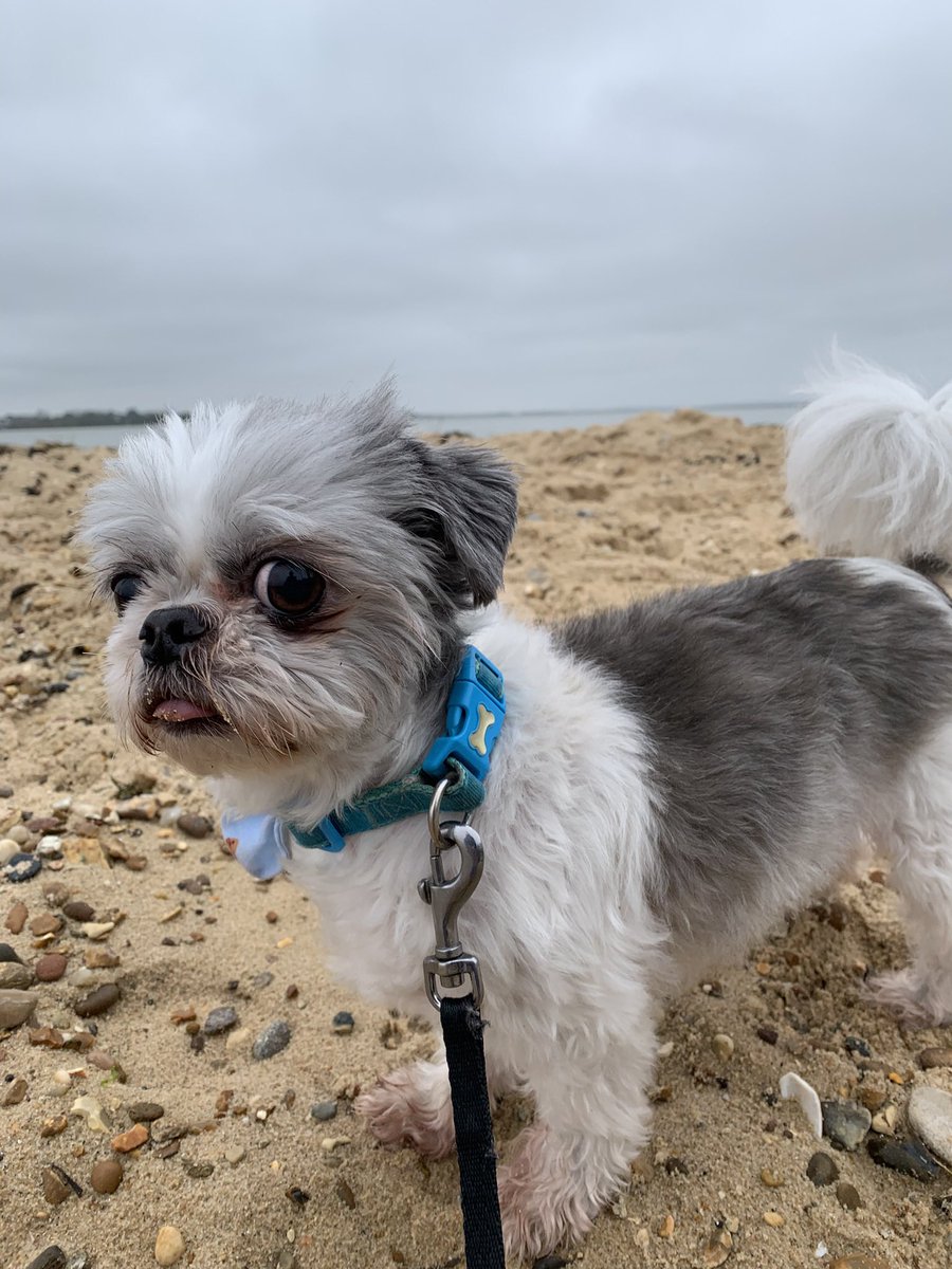 jason cronin tweet media