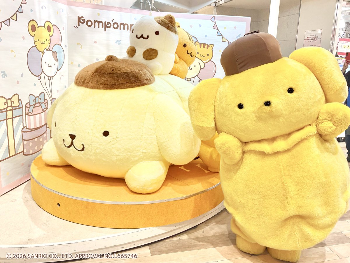 🎀＃サンリオ コーナー🎀 ＼💛＃ポムポムプリン グリーティング💛／ 30
