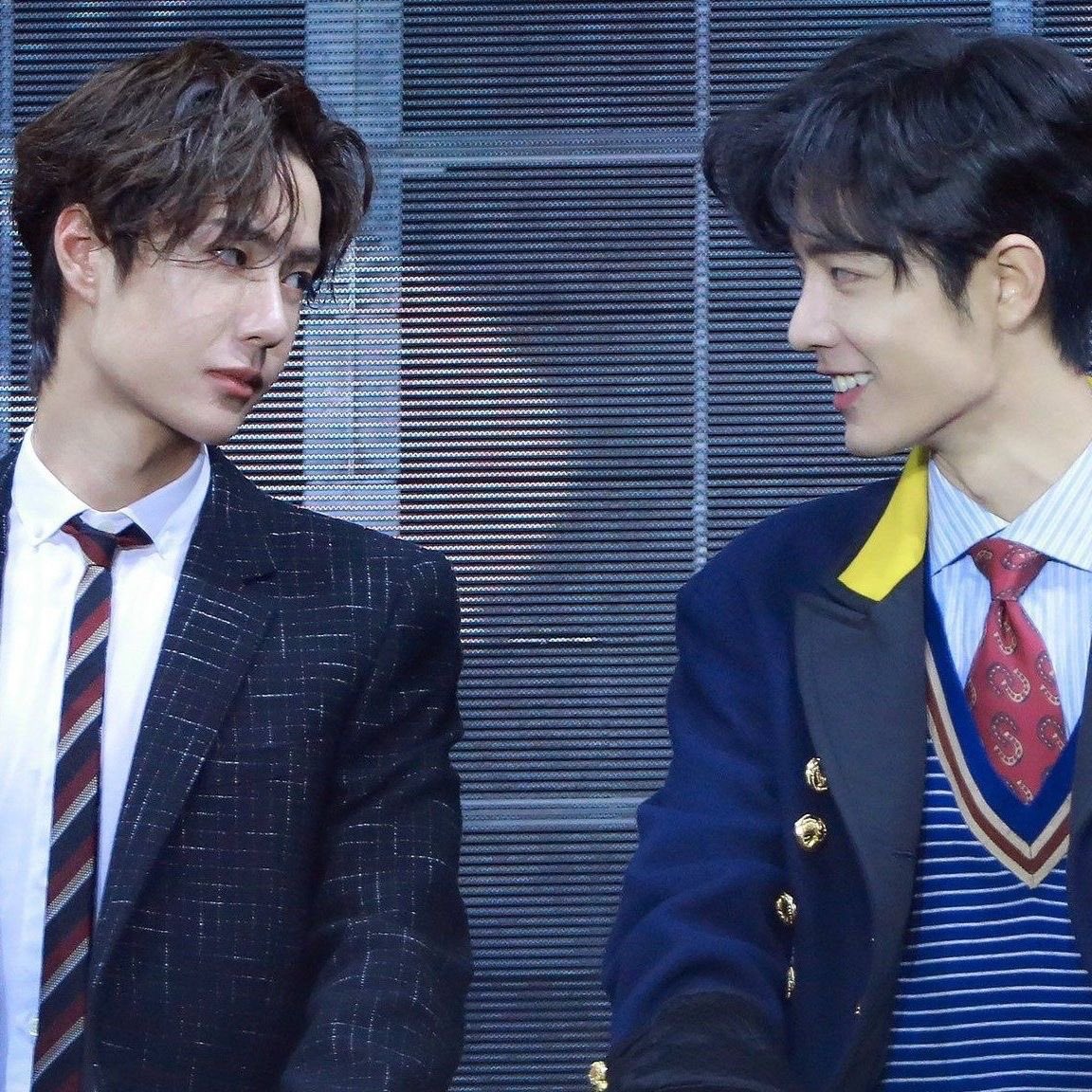 mai 🐢 tweet media