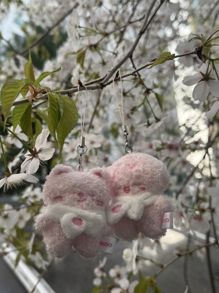 아련한혅진이 tweet media