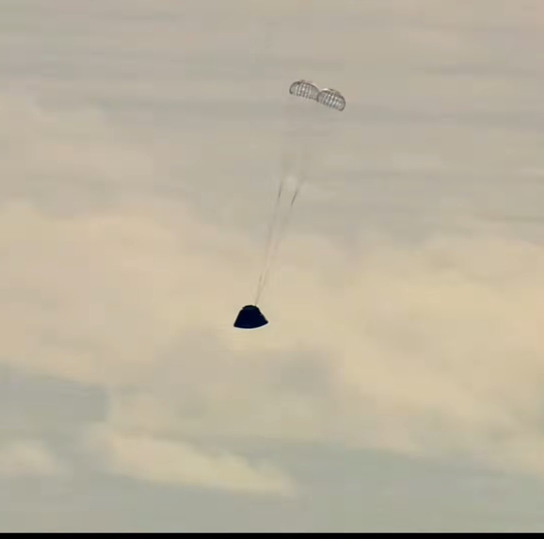 Gustavo Muleey tweet media