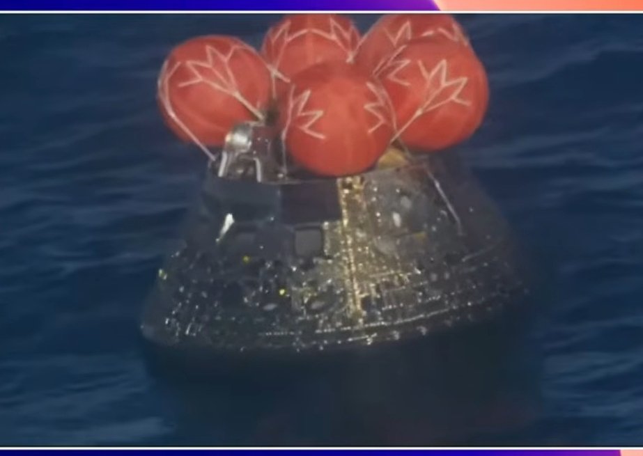 Gustavo Muleey tweet media