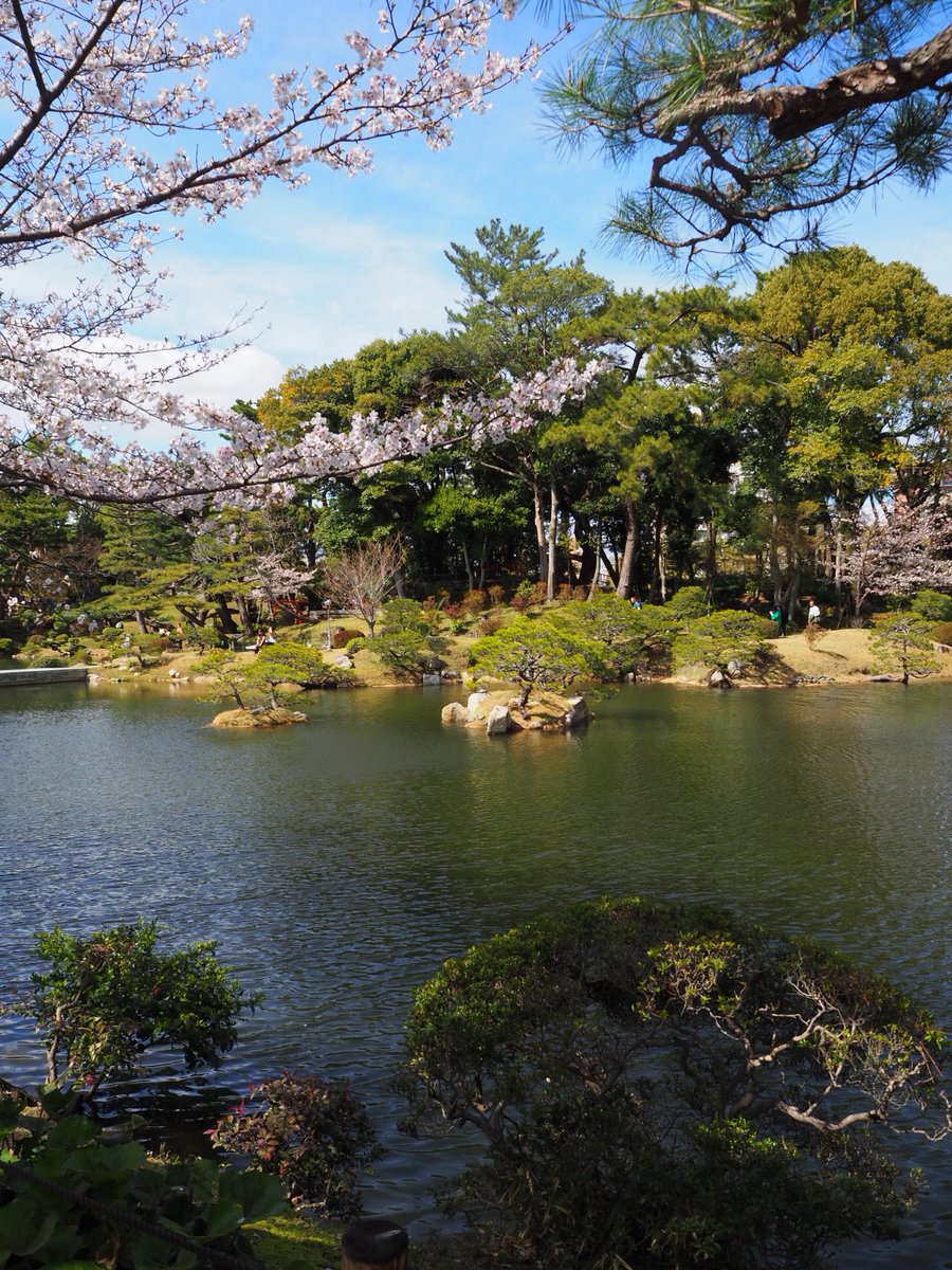 だんごむし tweet media