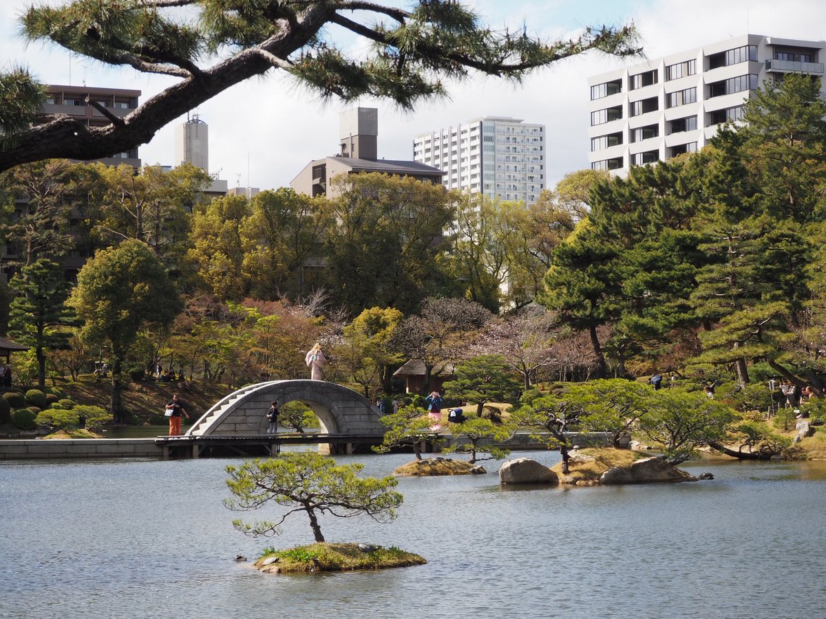 だんごむし tweet media