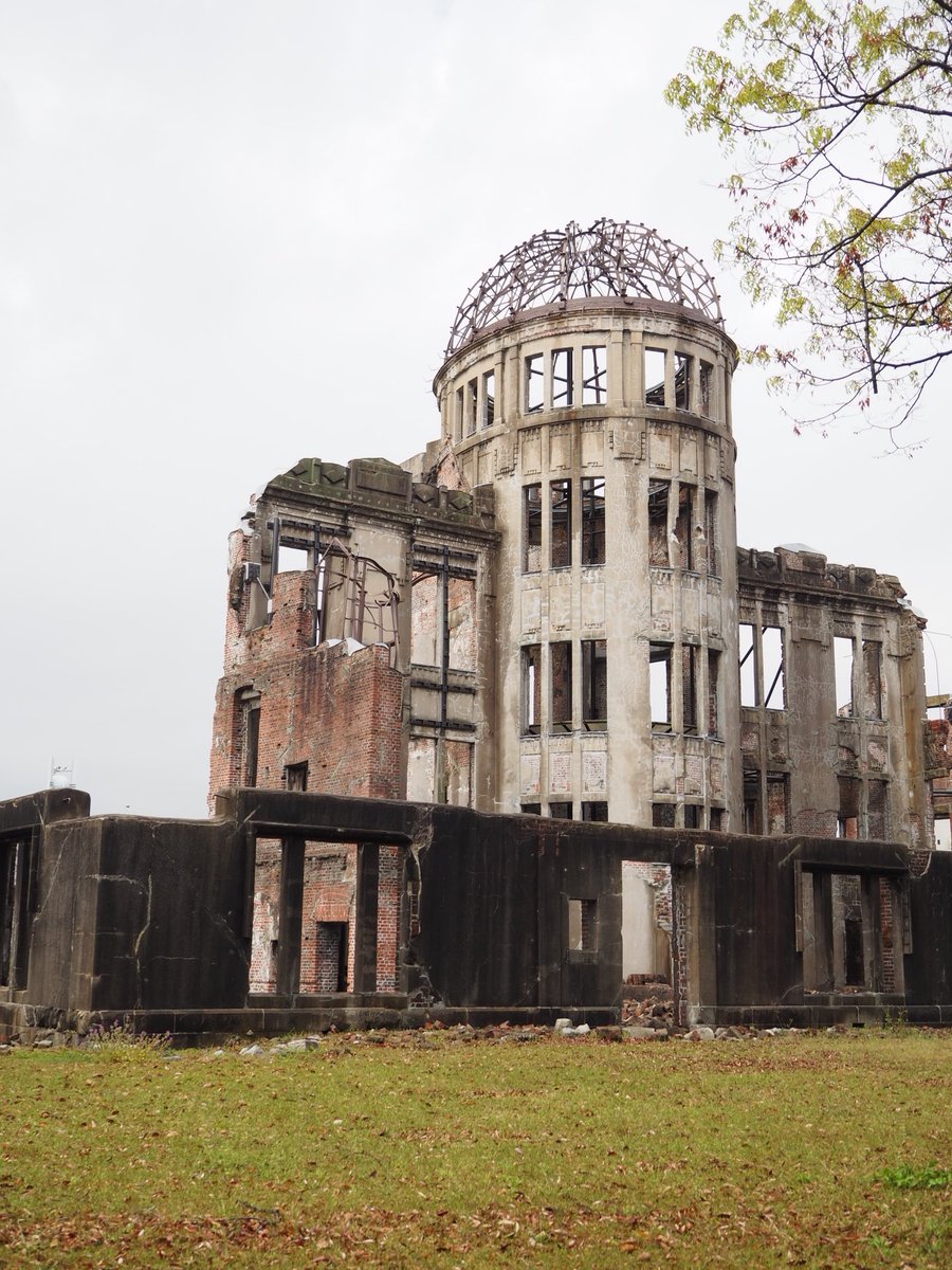 だんごむし tweet media