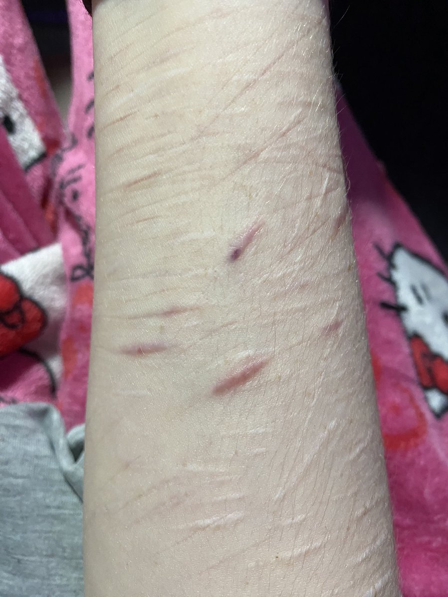 1D of shedtwt tweet media