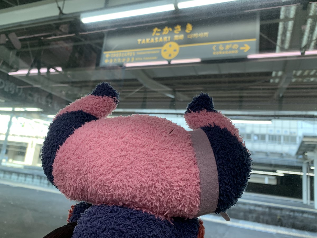 しゃーな伯爵🎃10/23、27、31 tweet media