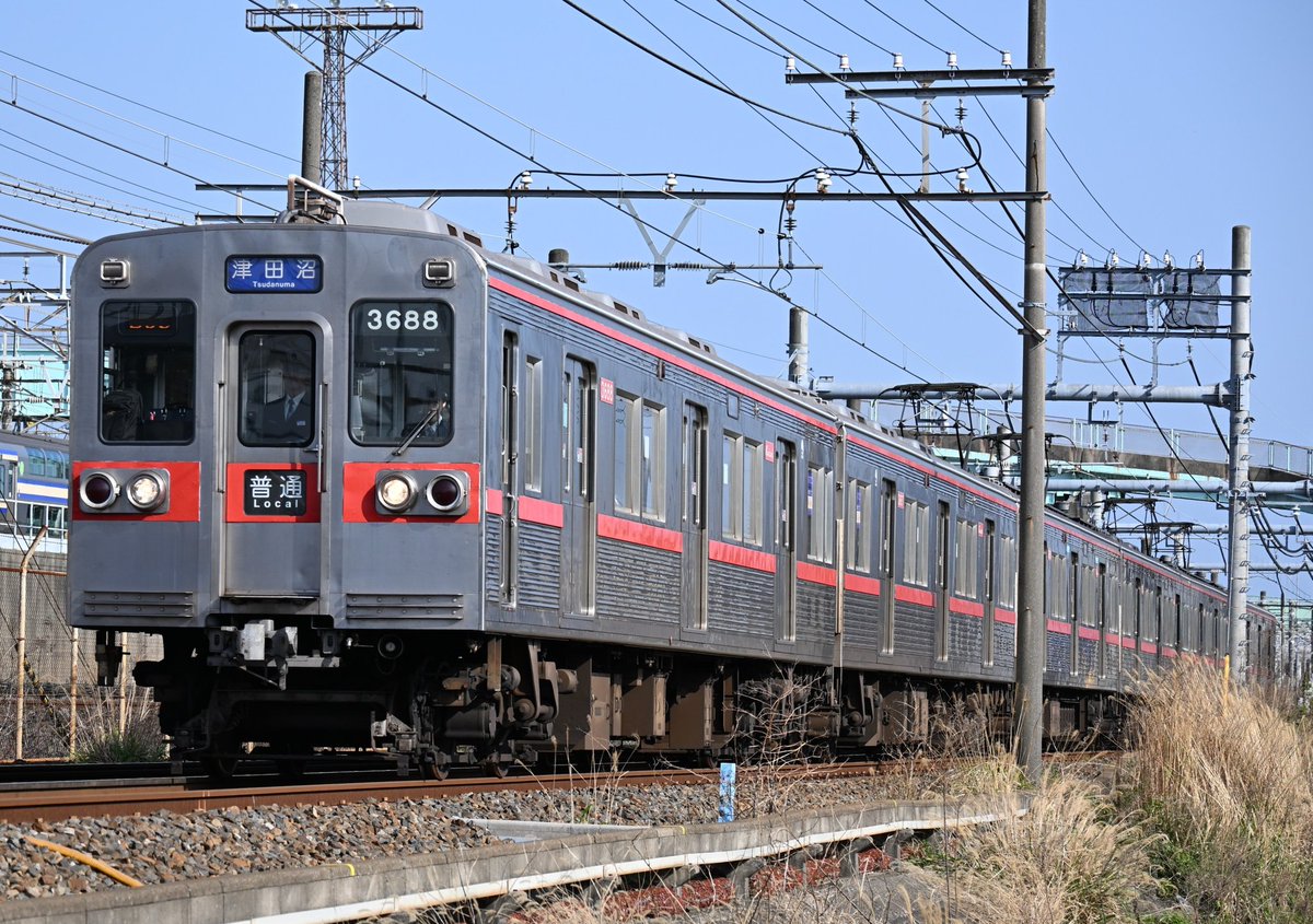 GENTLE PINK tweet media