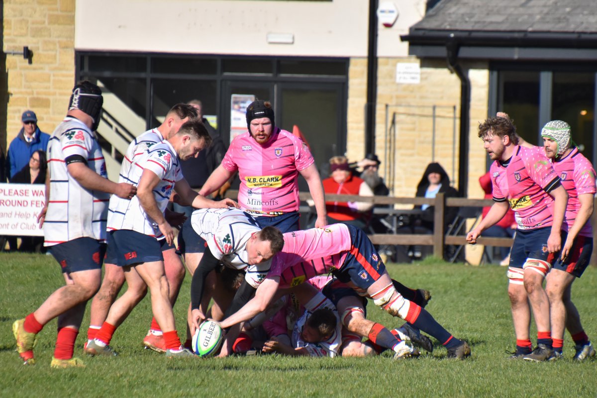 Morpeth RFC tweet media