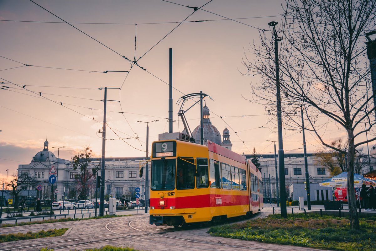 Самотній фотограф tweet media