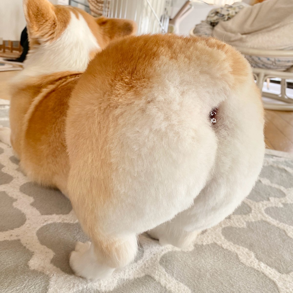 ばななな tweet media