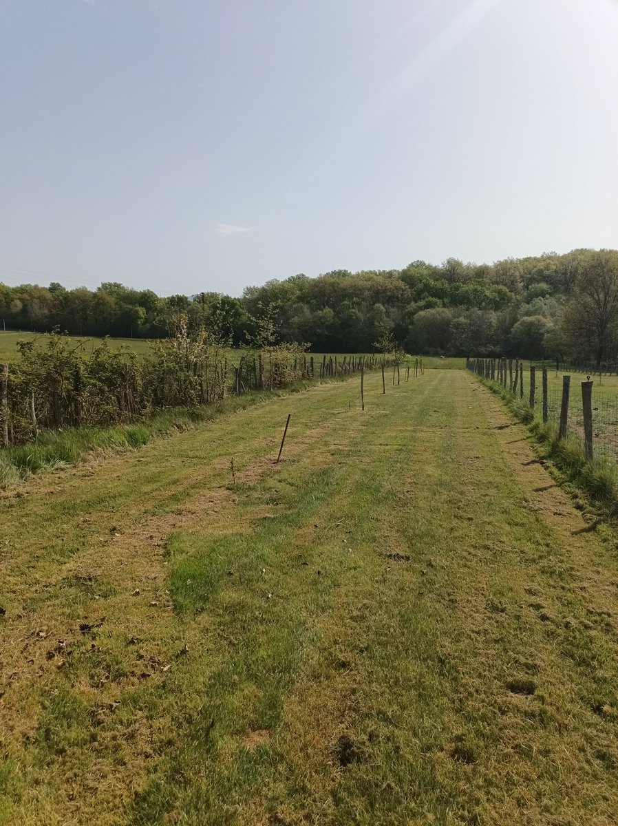 GamersLive + tweet media