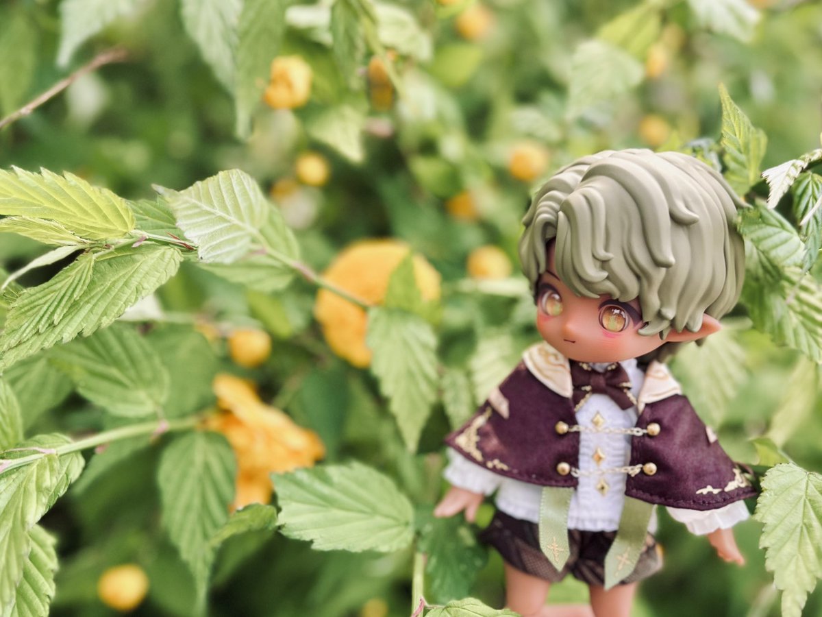 쥐인형 tweet media