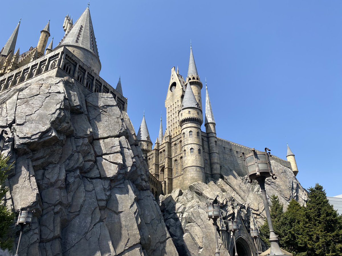 🐢まぁちゃん🐢 tweet media