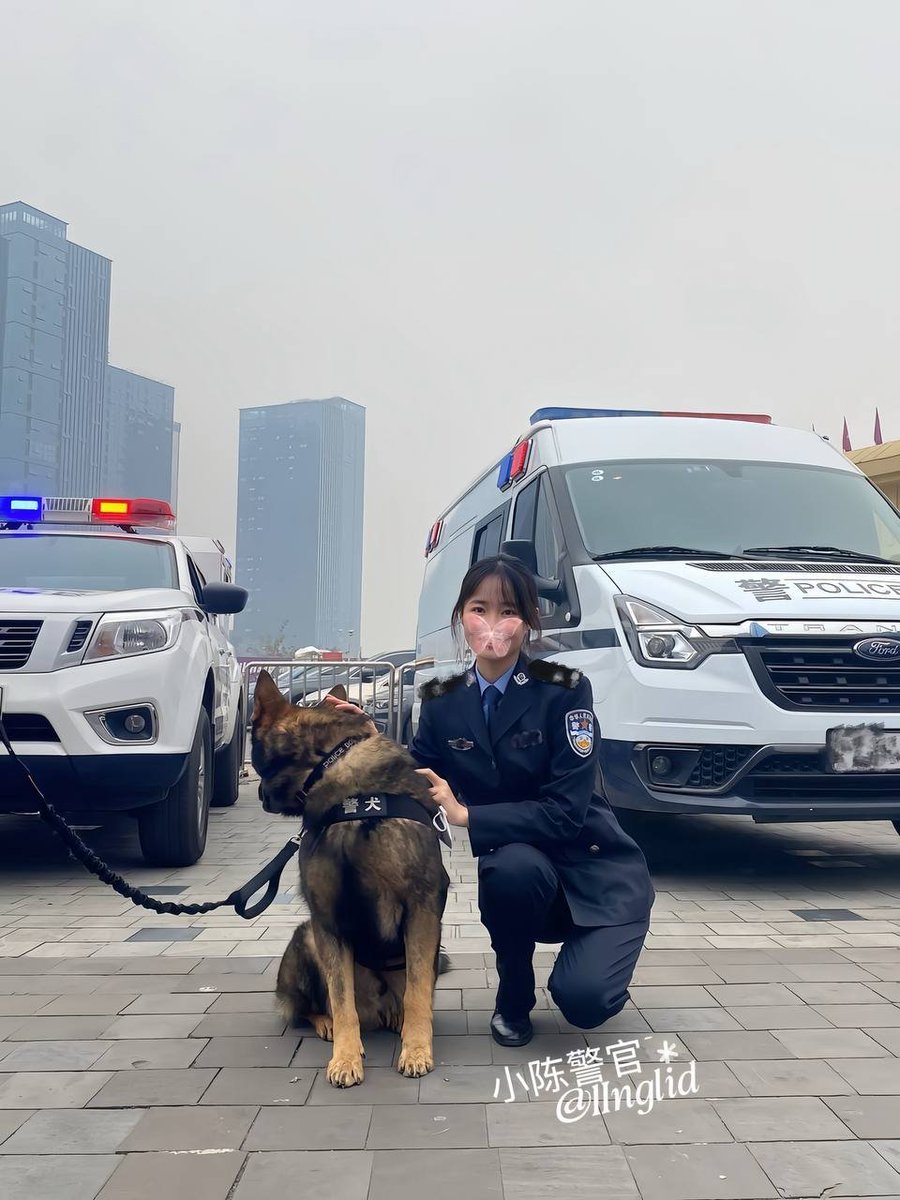 小陈警官~ tweet media