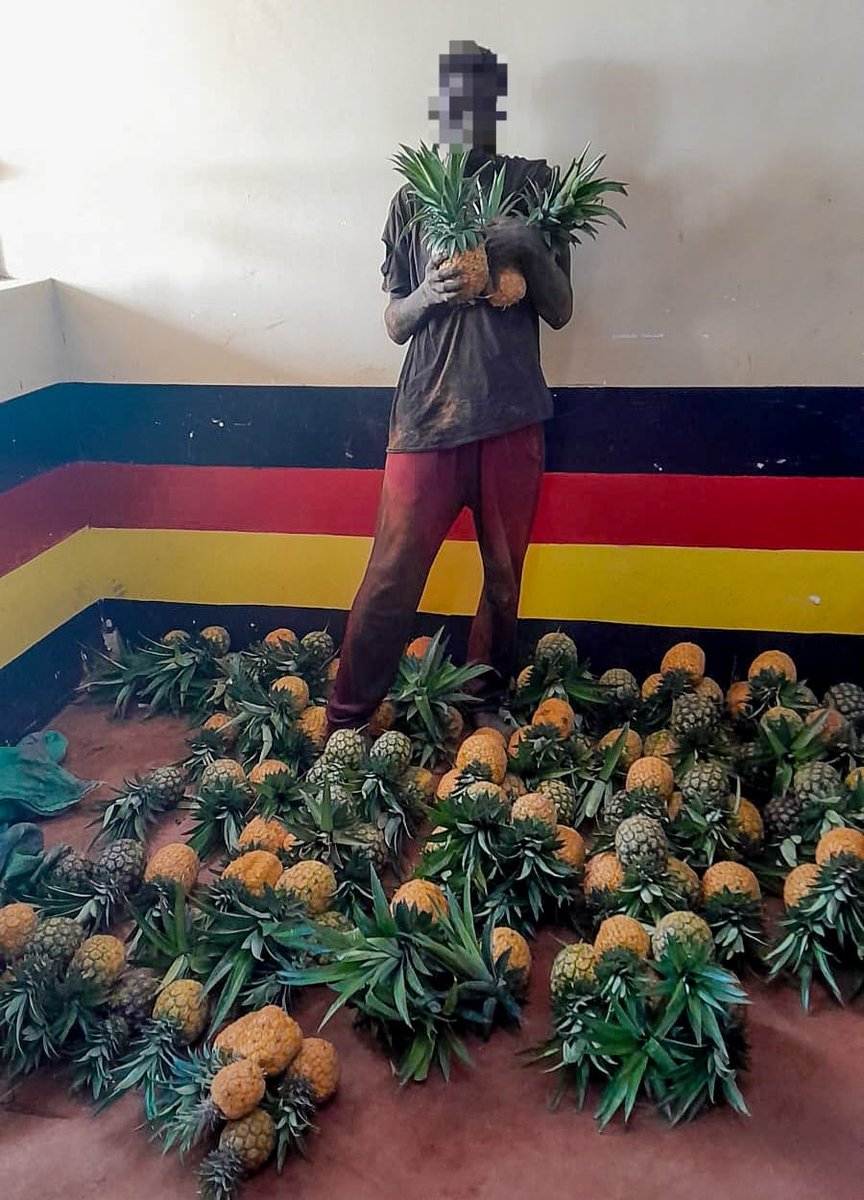 National Police Service-Kenya tweet media