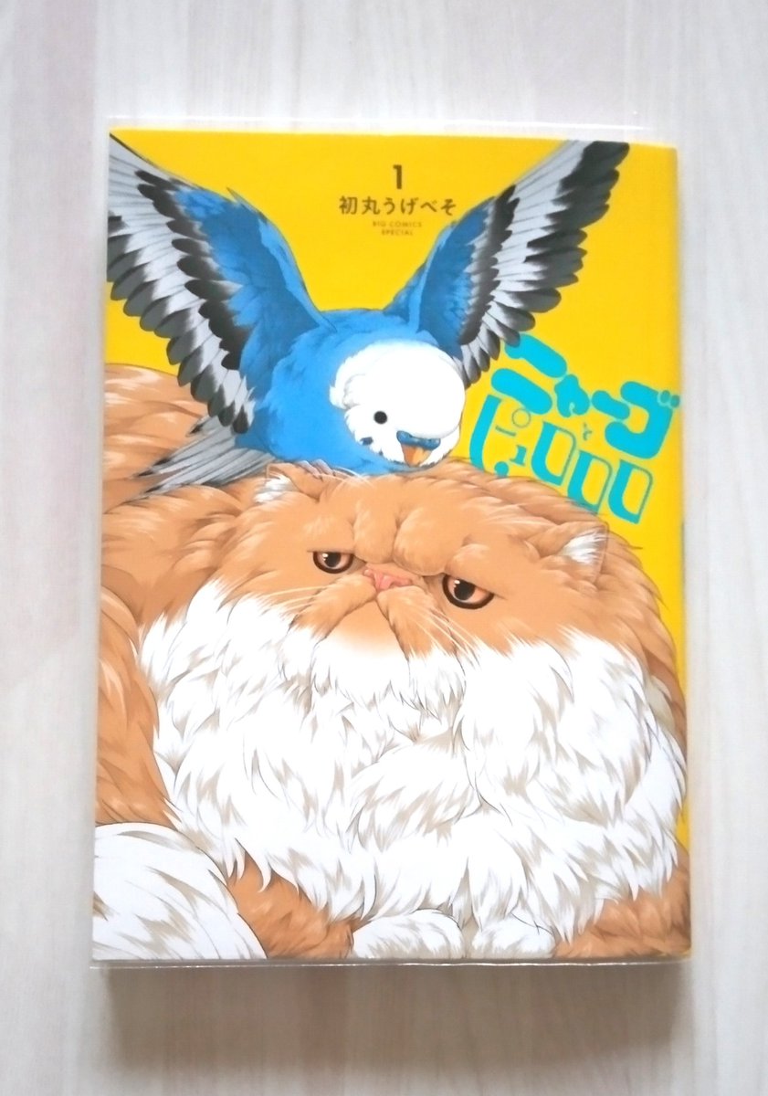 ﾁｬｵﾐ☆ tweet media