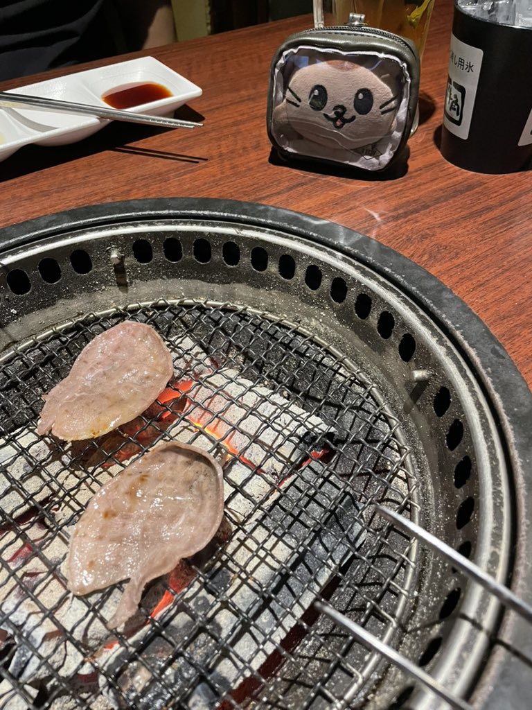 今日は少し遠くから眺めております