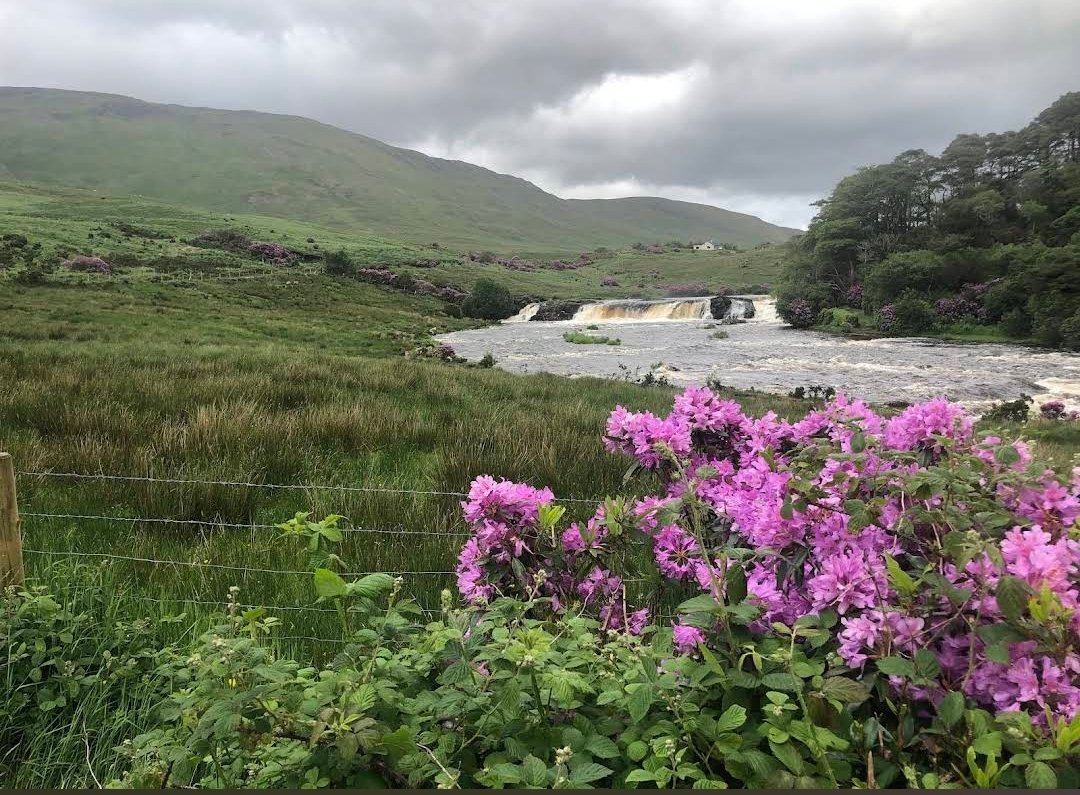 Mostafa Matar tweet media