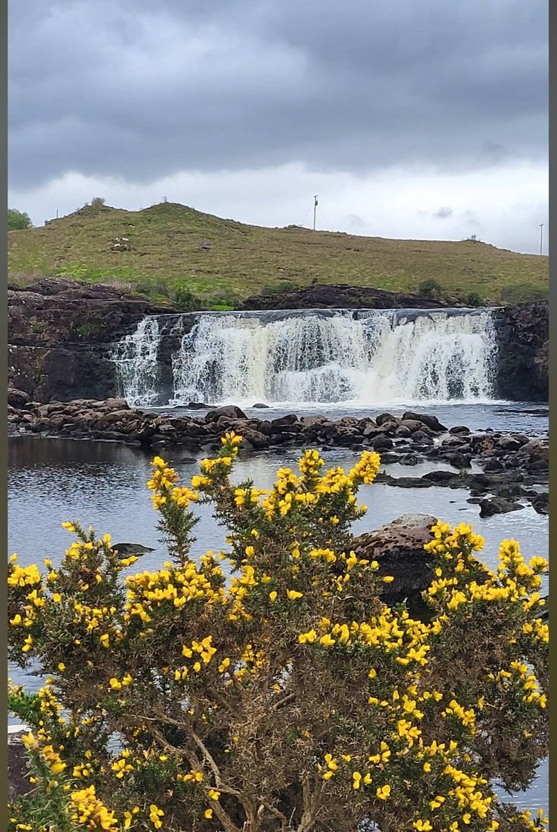 Mostafa Matar tweet media