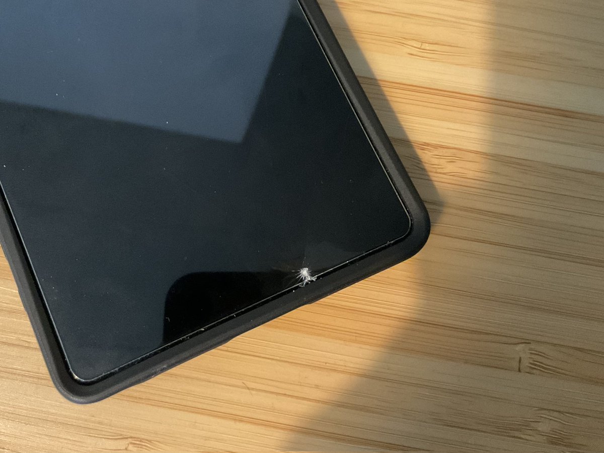 Carla ✨ Cuddles Ultra ✨ tweet media