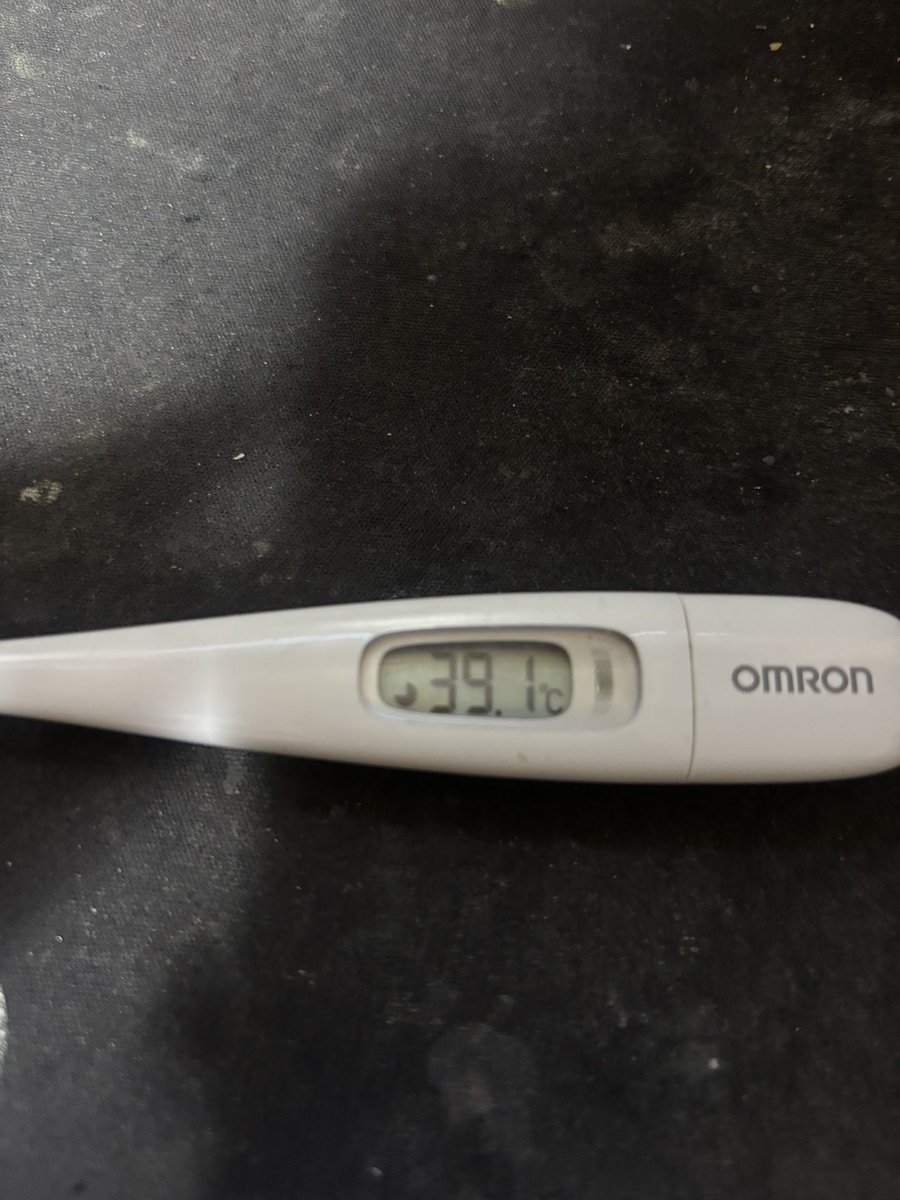 KAKESOBA RACING（かけ蕎麦新作） tweet media