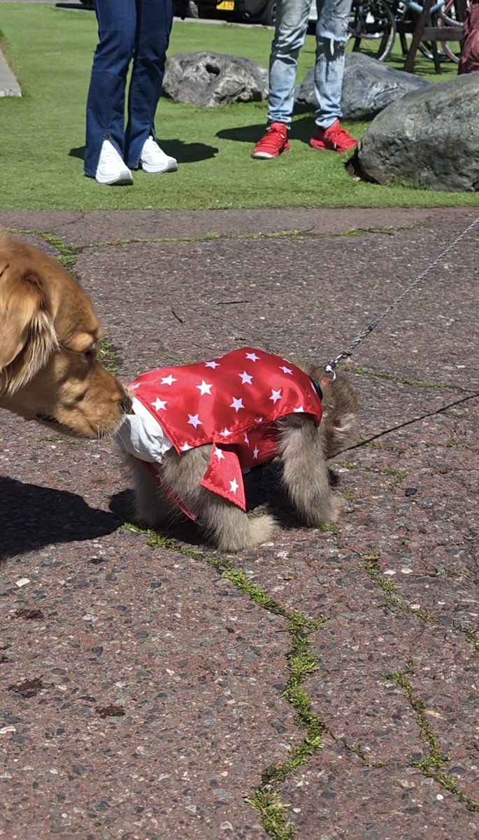 しおん tweet media