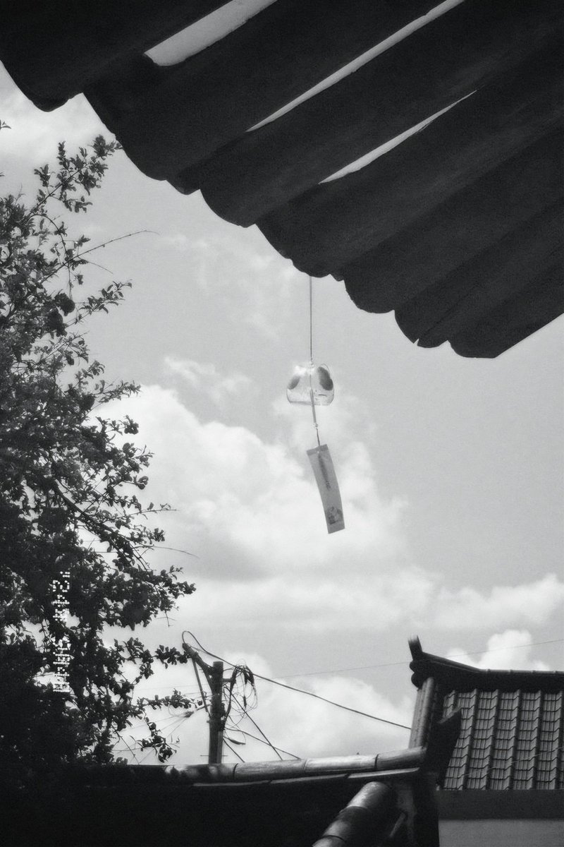 제비여름🎐 tweet media