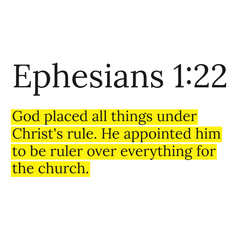 Holy Bible tweet media