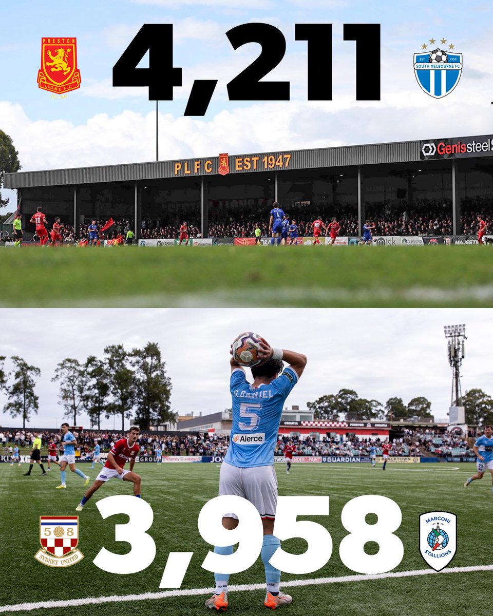 National Premier Leagues tweet media
