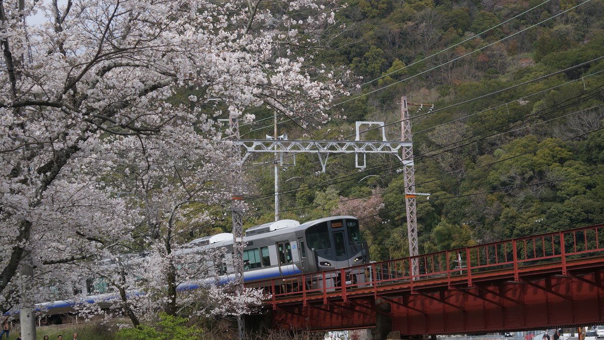 HANWA2252's tweet photo. 4.2 山中渓駅付近にて
225系5100番台
223系2500番台
287系 くろしお60周年記念ラッピング 青色 https://t.co/8edA8Tdkjg