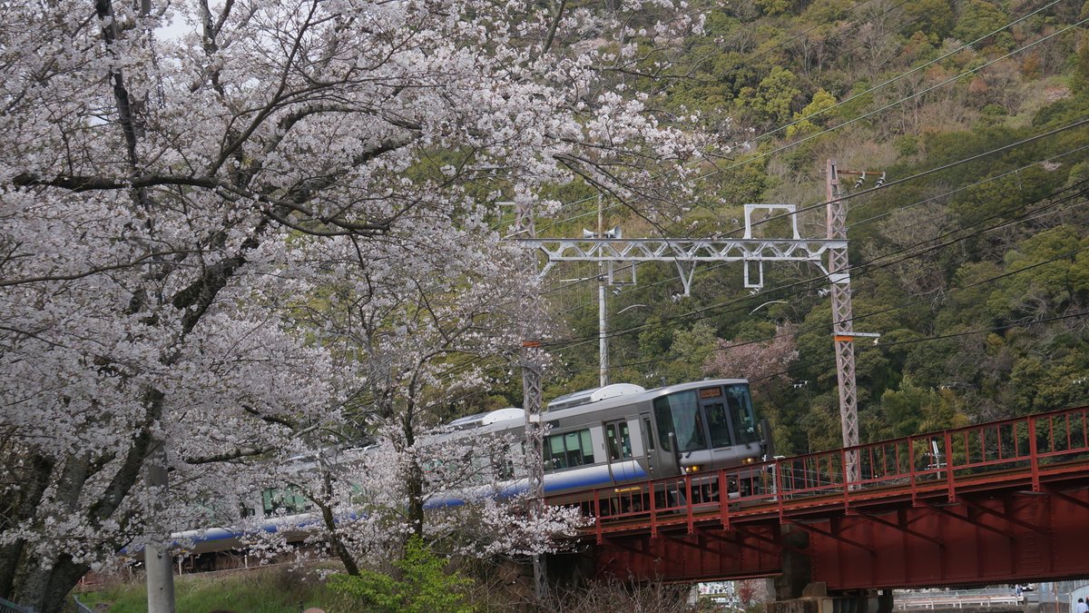HANWA2252's tweet photo. 4.2 山中渓駅付近にて
225系5100番台
223系2500番台
287系 くろしお60周年記念ラッピング 青色 https://t.co/8edA8Tdkjg