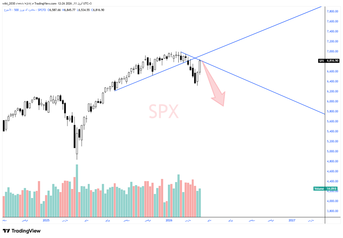 ويكي Wiki tweet media