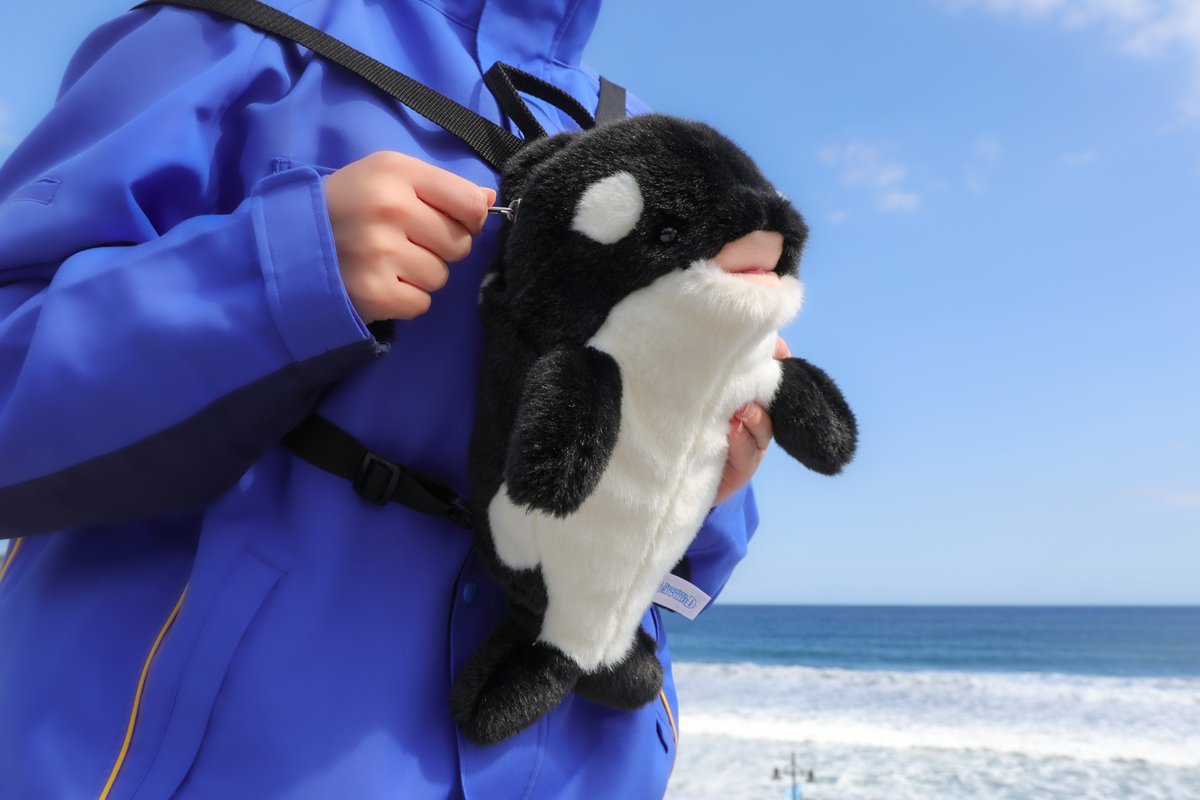 鴨川シーワールド【公式】 tweet media