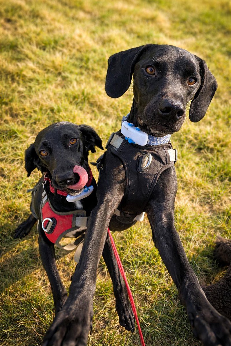 Katriona Grahame 🇪🇺🏴󠁧󠁢󠁳󠁣󠁴󠁿 tweet media