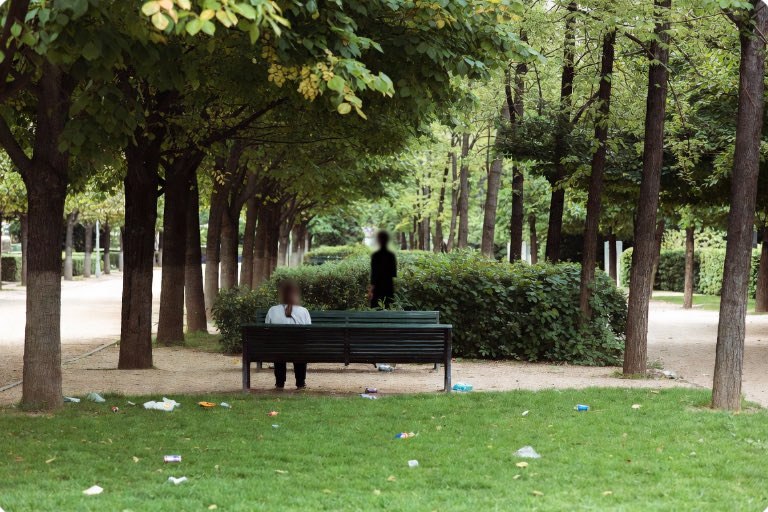 Wolf 🐺 tweet media