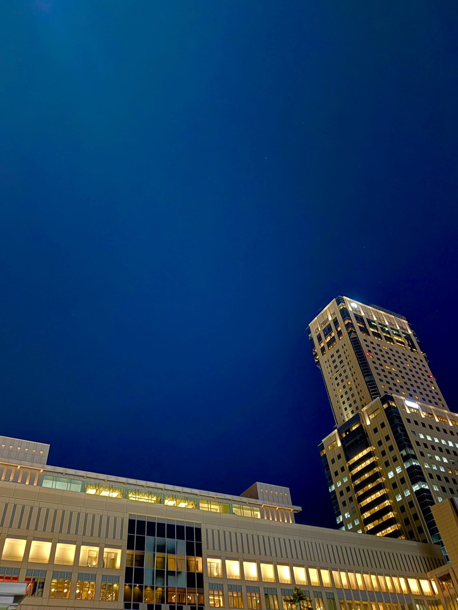 affection tweet media