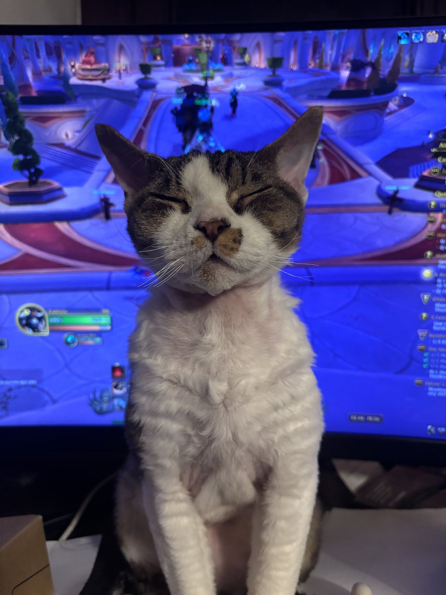 Maggie ☾ Ψ tweet media