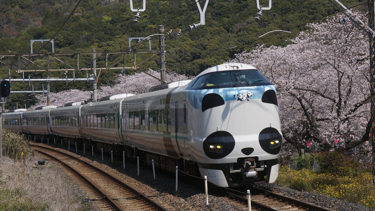 HANWA2252's tweet photo. 4.2 山中渓駅にて
287系 パンダくろしお
サステナブルSmileトレイン
Utopia Smile トレイン
283系 くろしお https://t.co/yqhuLThUDO