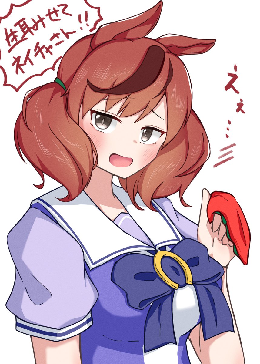 Tanuki_Touka's tweet image. 生耳ネイチャさん