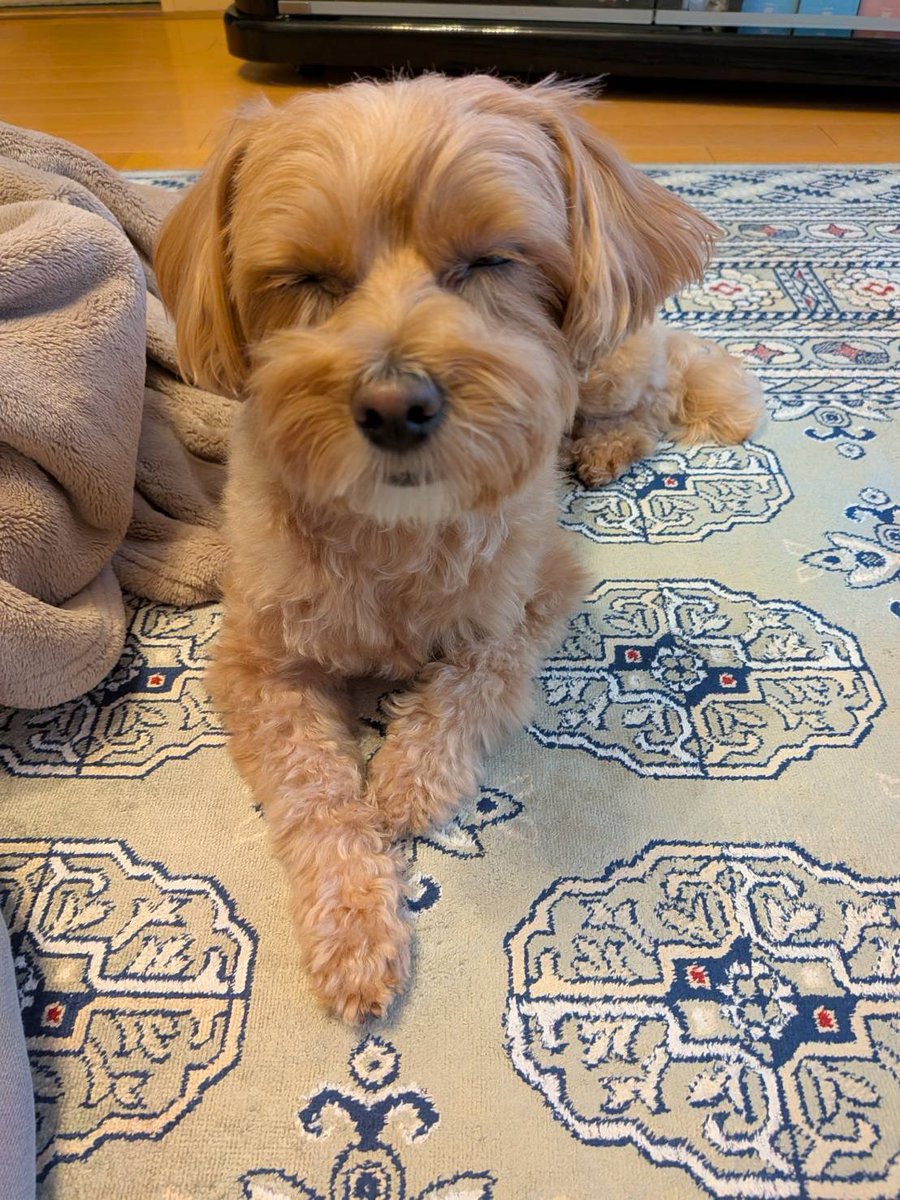 新宿ゴールデン街BUTI tweet media