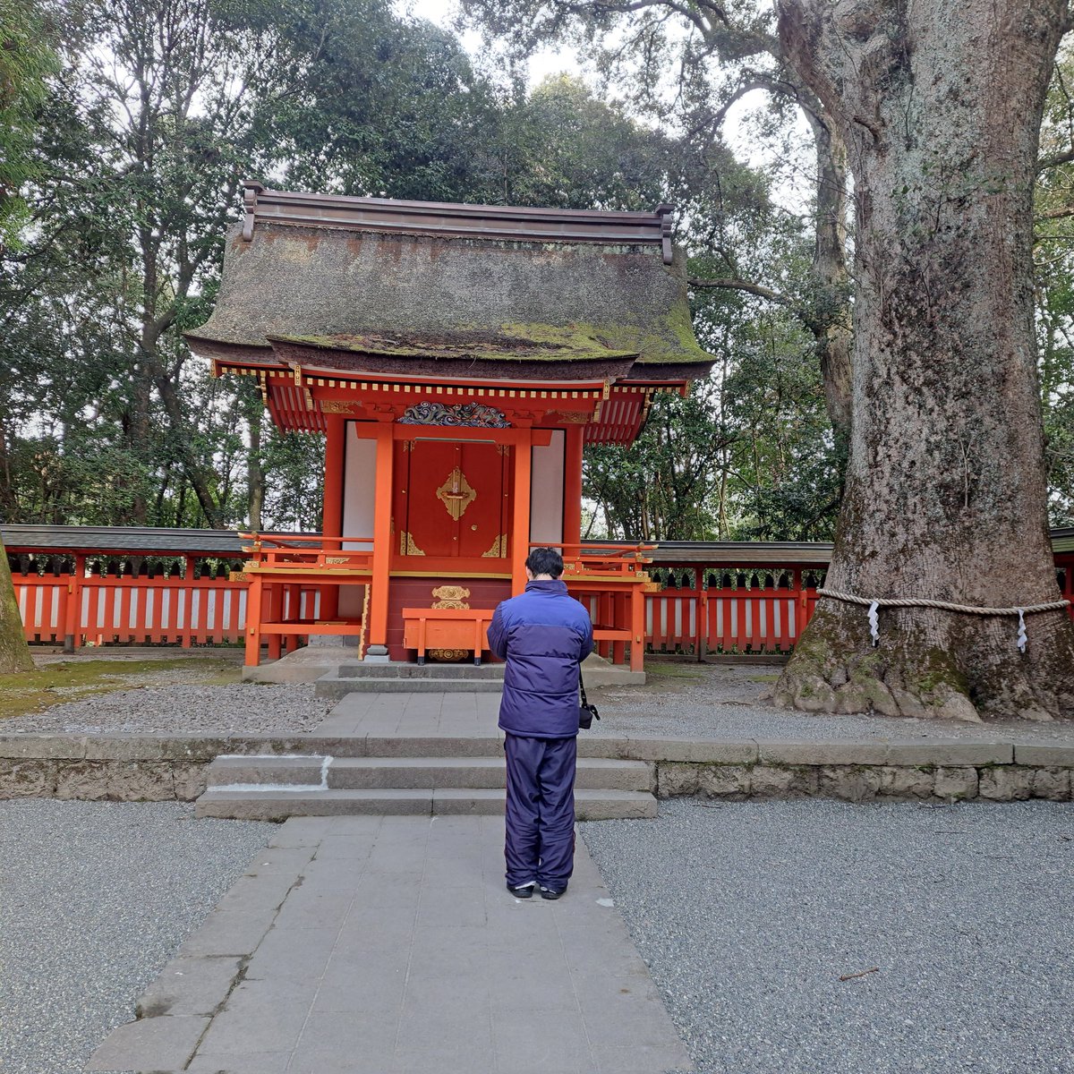 風の便り(本垢) tweet media